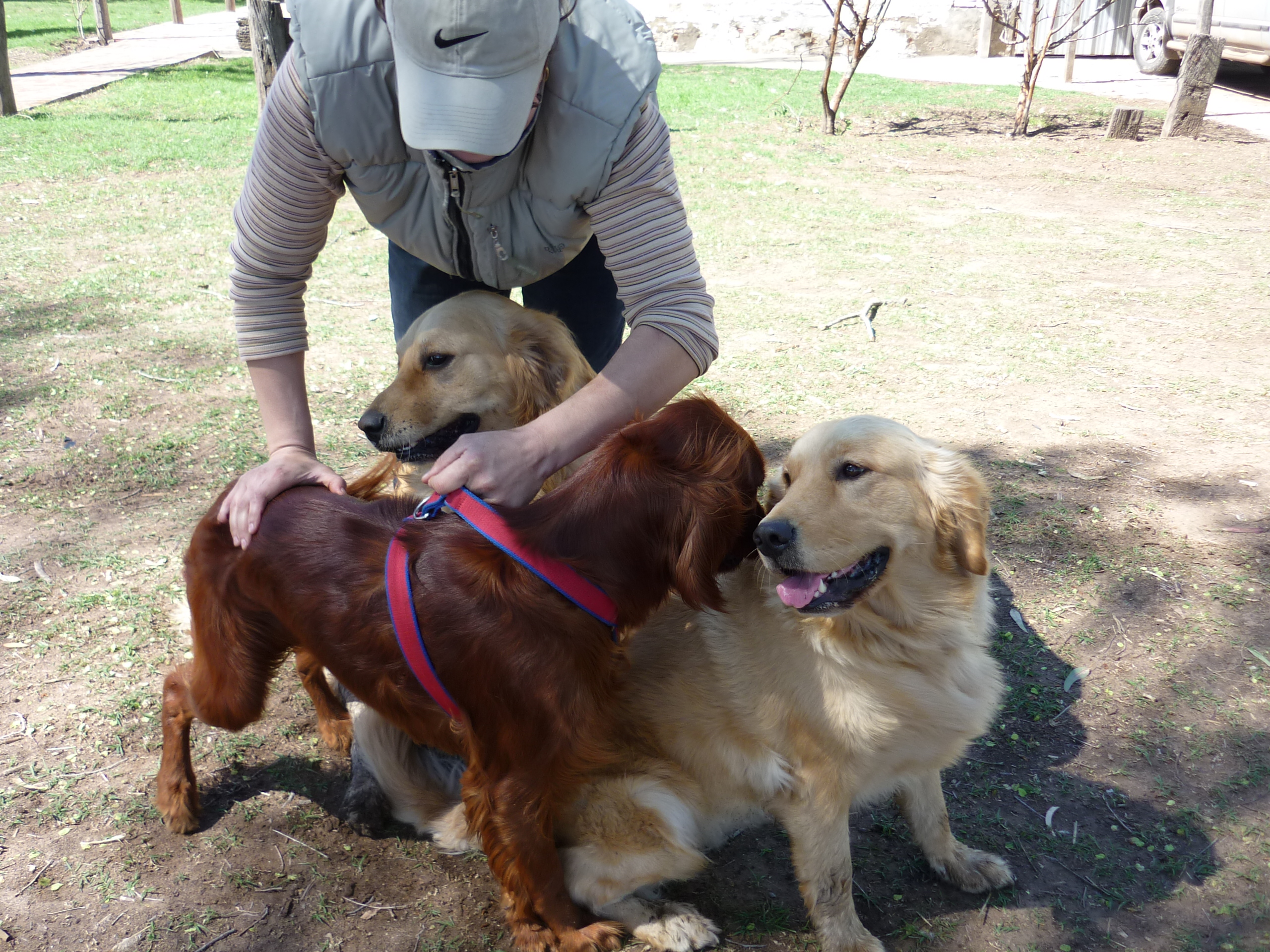 fotos/2009-10-11 - Asado campo facha/P1000265.JPG